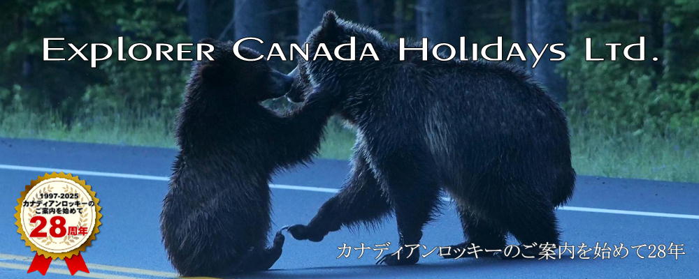 3大国立公園とモレーン湖＋渓谷散策