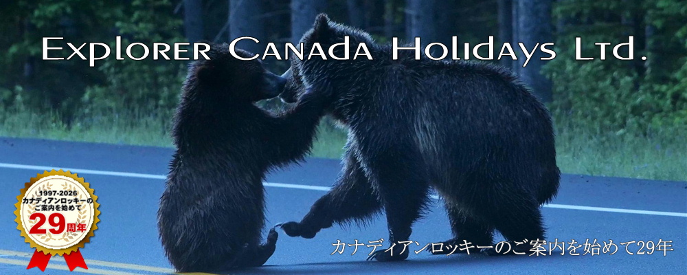 3大国立公園とモレーン湖＋渓谷散策