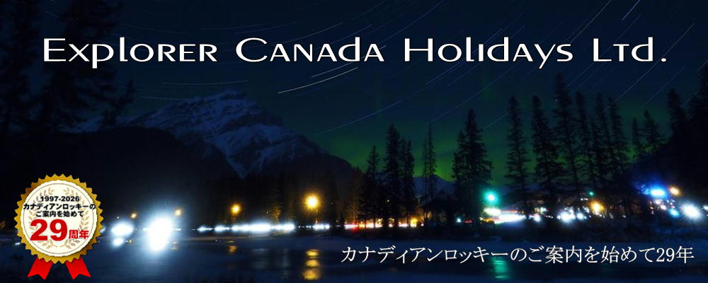 星空観賞と夜景ツアー　モバイル