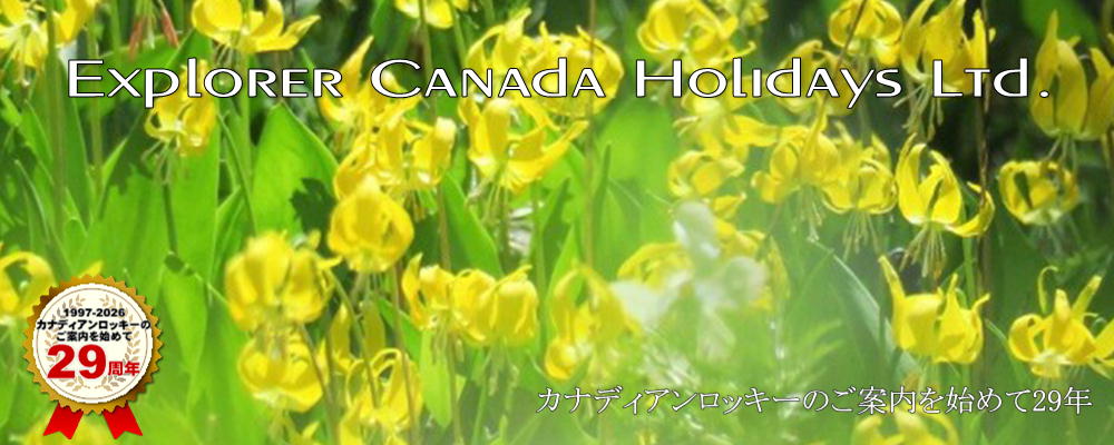 貸切プライベートハイキング