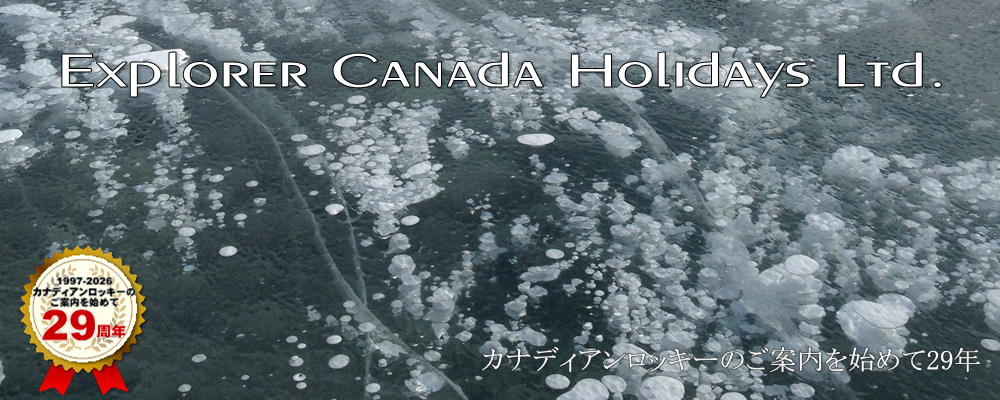 アブラハムレイクアイスバブル貸切ツアー